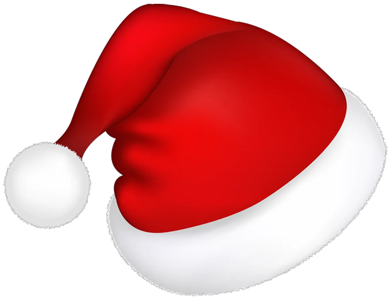 Christmas Branch Png