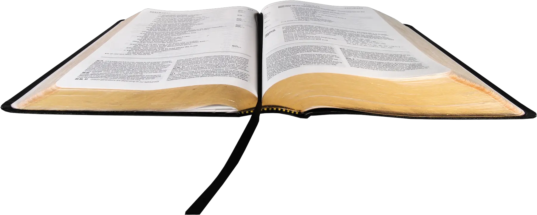 Download Biblia 05 Apr 2018 Png