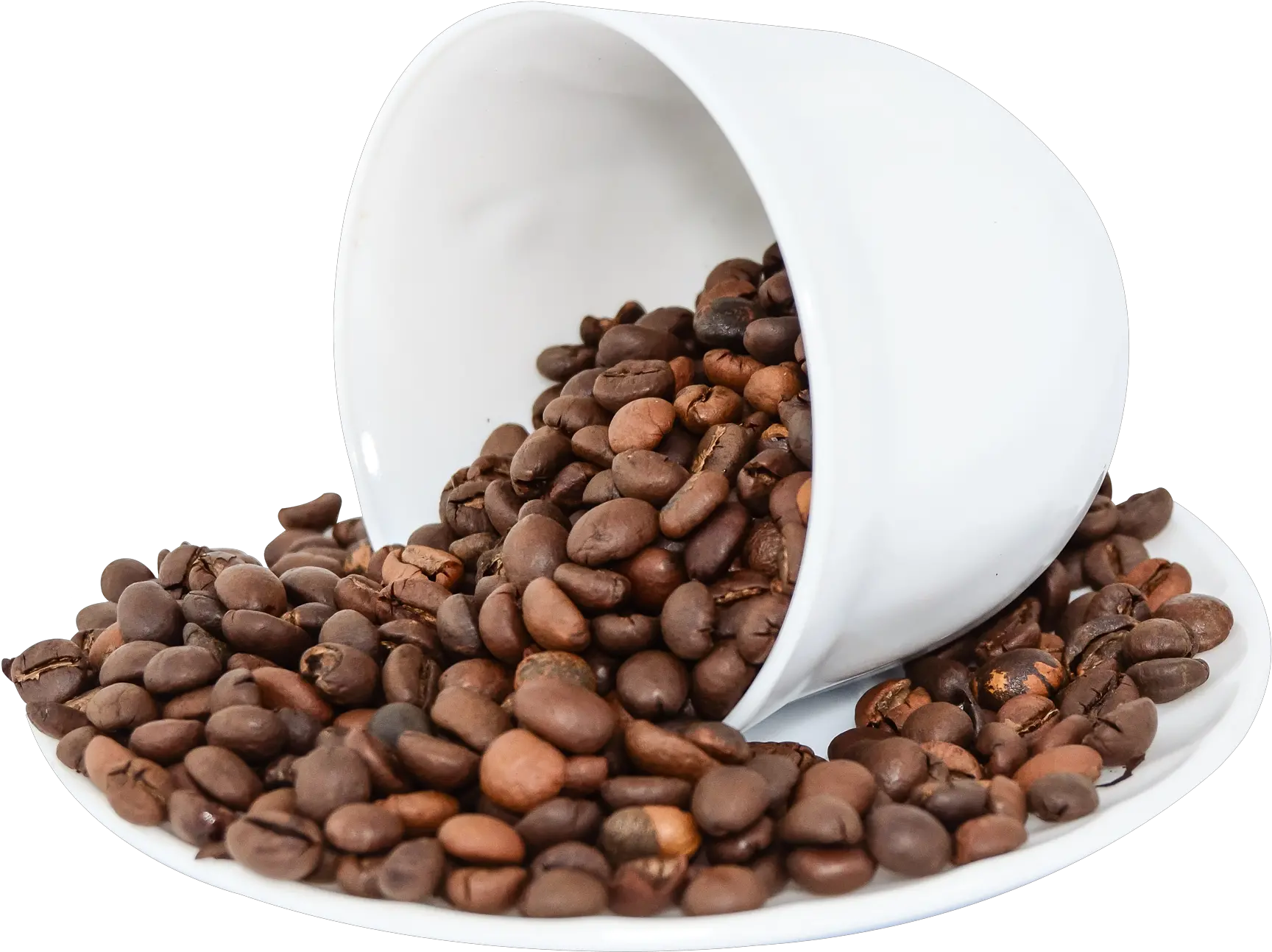 Download Coffee Beans Png Image For Free Transparent Png Coffee Beans Bean Png