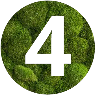 Mosswall Mosco 40 Number Png Moss Icon