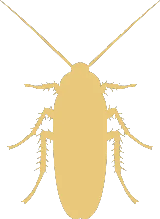 Pest Control In The Bay Area Crown U0026 Shield Solutions Pest Control And Pesticides Logo Png Cockroach Icon