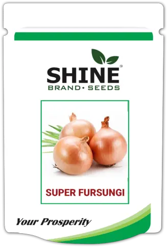 Onion Seeds Super Fursungi Shine Brand Seeds In Indore Png Onion Transparent