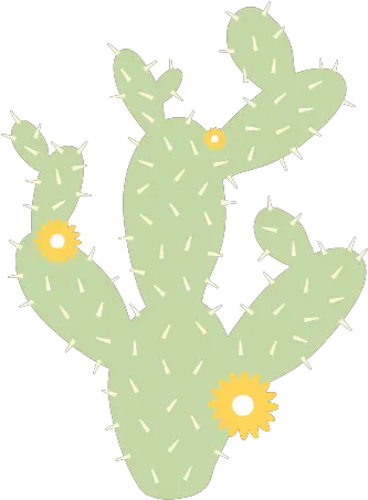 Download Prickly Pear Cactus Decal Hd Png Uokplrs Eastern Prickly Pear Cactus Png