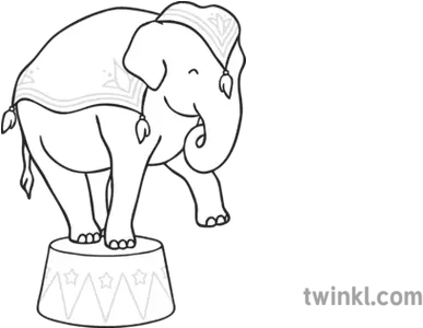 Circus Elephant Black And White 2 Cartoon Circus Elephant Black And White Png Circus Elephant Png