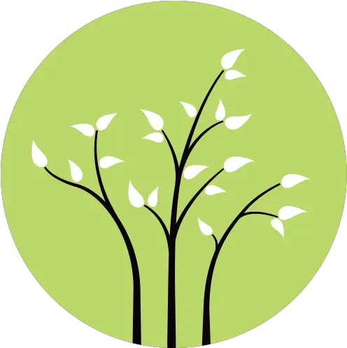 Three Branches Wellness Twig Png Branches Icon