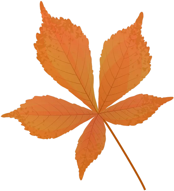 Horse Chestnut Late Autumn Leaf Clipart Free Download Autumn Horse Chestnut Leaf Png Leaf Clipart Transparent png