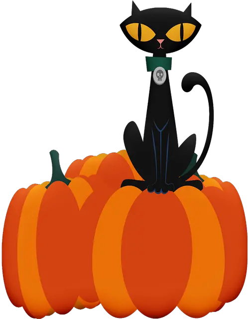 Halloween Cat Ghosts Free Image On Pixabay Imágenes De Fantasmas O Calaveras Halloween Png Halloween Cat Png png