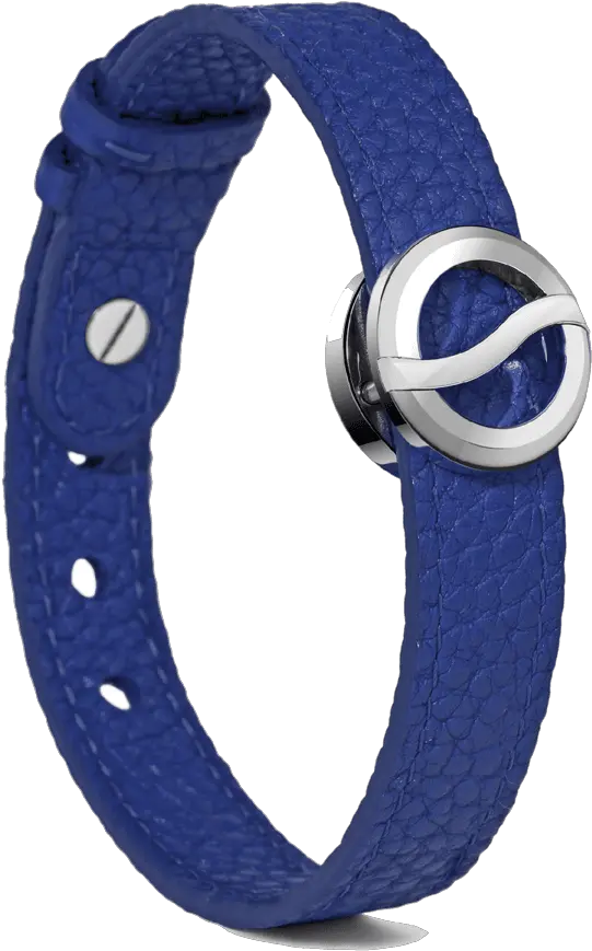 Horizon Bracelet Steel Icon Model 10sbbss Png Karl Icon