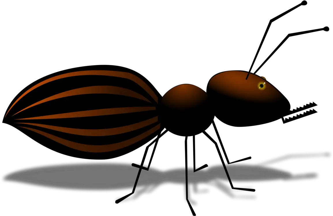 Flyantinvertebrate Png Clipart Royalty Free Svg Png Ant Icon