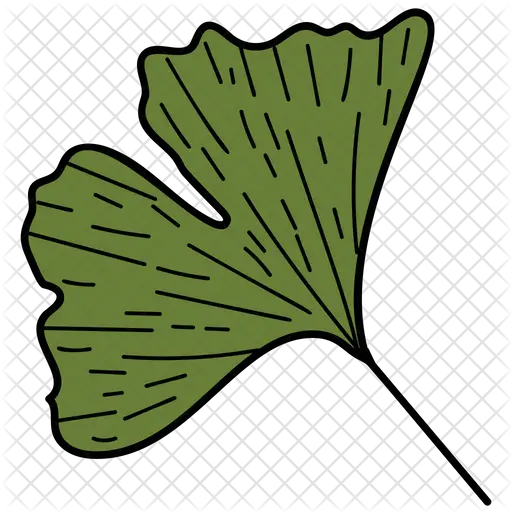 Ivy Leaf Icon Clip Art Png Ivy Png