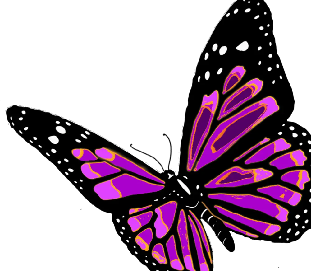 Flying Butterfly Images Clipart Butterfly With Transparent Transparent Background Transparent Flying Butterfly Png Butterfly Flying Png png
