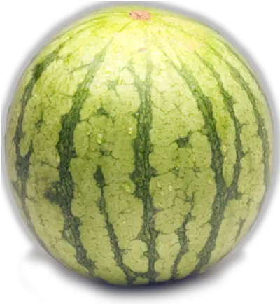 Download Free Png Collection Of Watermelon Transparent Watermelon Watermelon Transparent Background