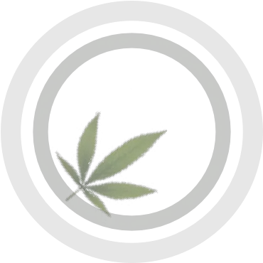 Growers Guide To Cannabis Illustration Png Cannabis Png