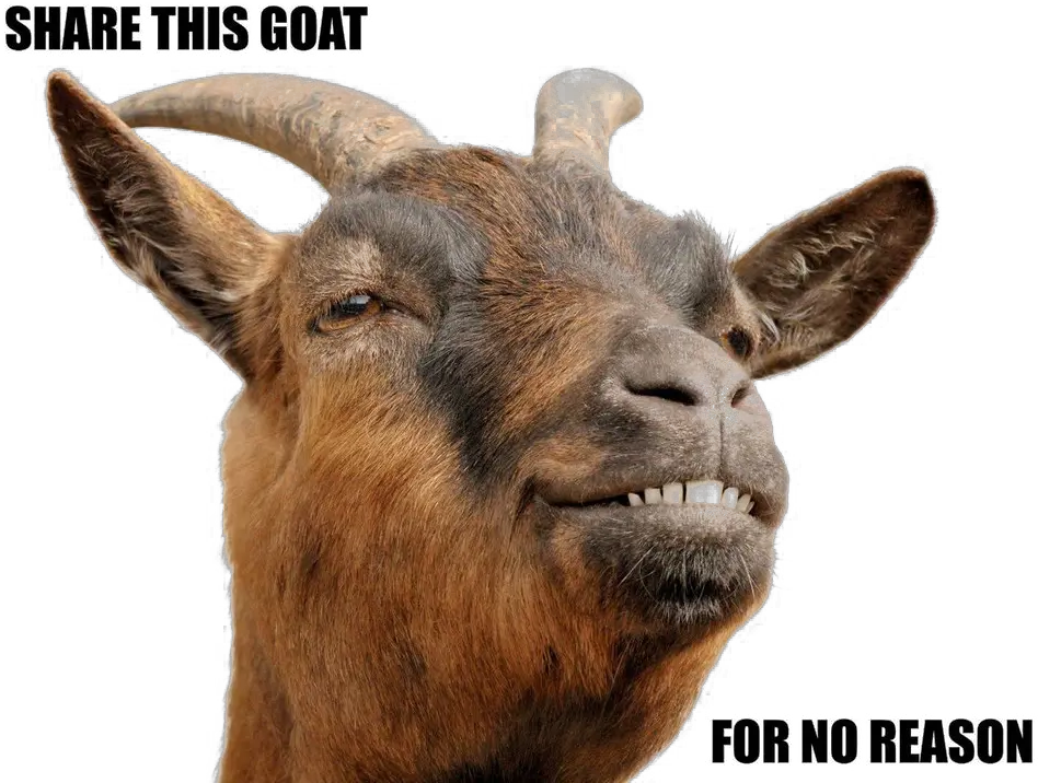 Goat Png Download Image Arts Goat Head Png Goat Png