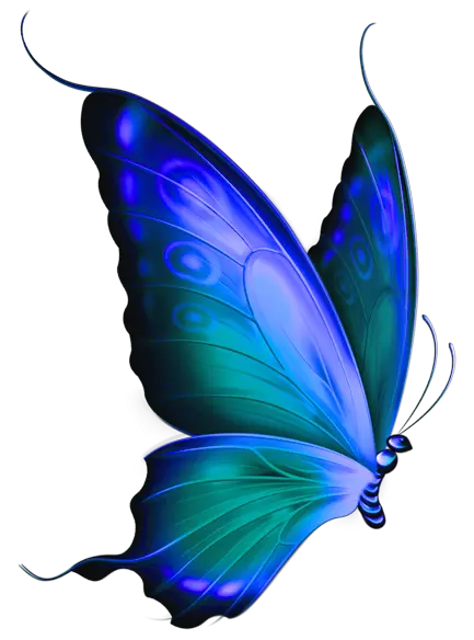 Transparent Blue Butterfly Clipart Clip Art Bay Transparent Background Blue Butterflies Png Butterfly Transparent png