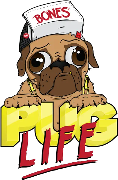 Download Pug Life Png Photos For Puglife Png Pug Transparent Background