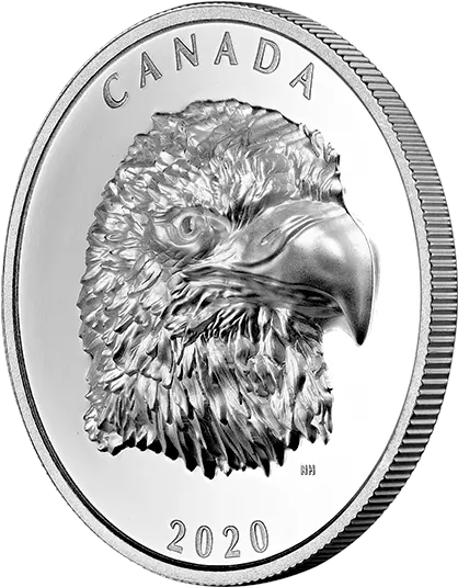 Pure Silver Ehr Coin Proud Bald Eagle U2013 Mintage 4000 Bald Eagle Png Eagle Transparent