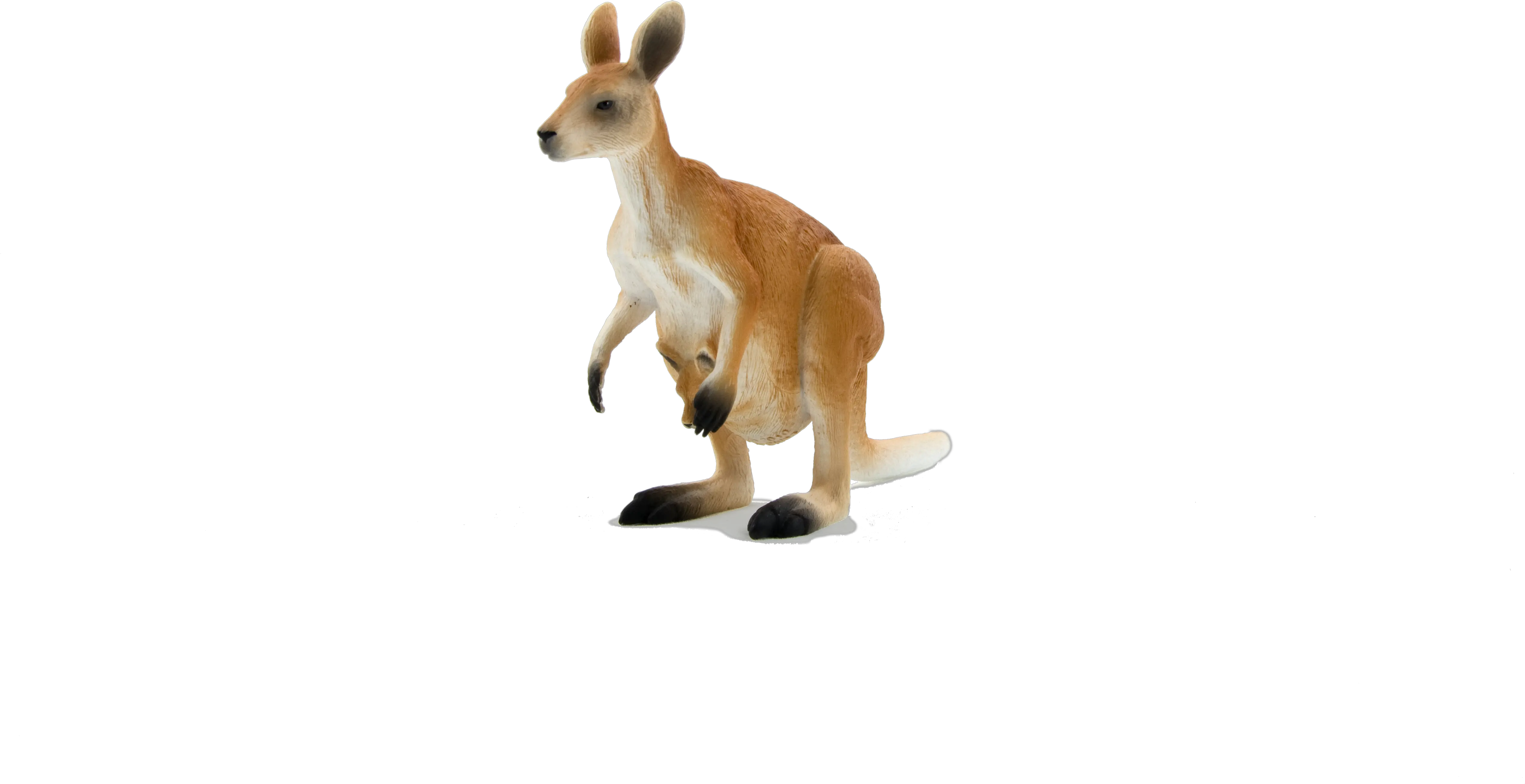 Download Hd Kangaroo Png Transparent Image Nicepngcom Animal Planet Toys Kangaroo Kangaroo Transparent Background