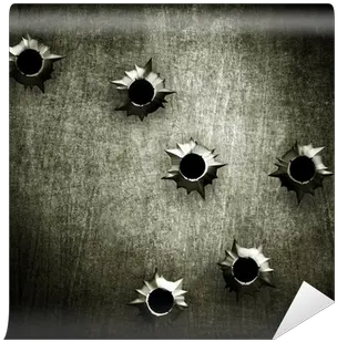 Metal With Bullet Hole Wall Mural U2022 Pixers We Live To Change Earrings Png Bullethole Png
