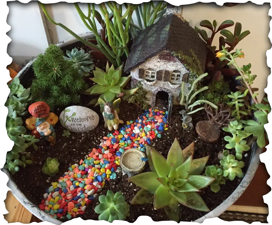 Desert Landscaping In Las Vegas Nv 2 White Guys Succulent Fairy Garden Diy Png Desert Plant Png