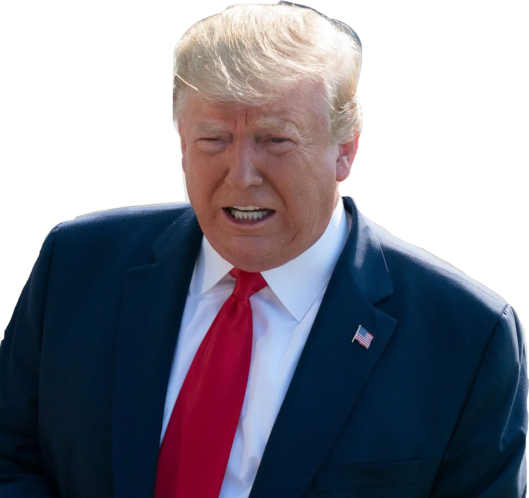 Donald Donaldduck Donaldtrump President Rod Blagojevic Png Donald Trump Face Transparent