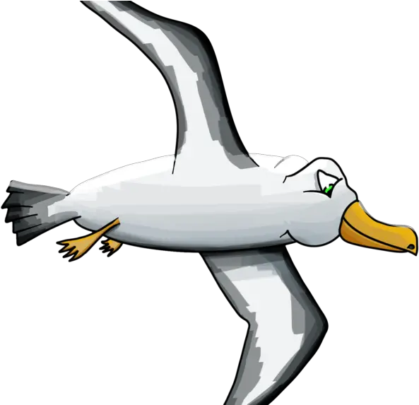 About The Event Albatross Clipart Full Size Clipart Albatross Cartoon Png Icon Of Transfiguration