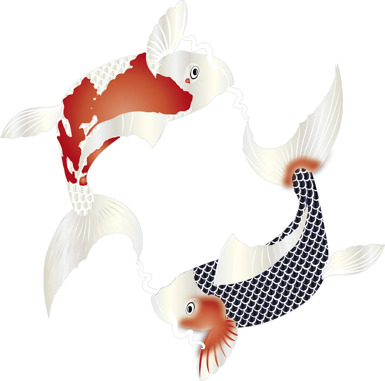 Fish Carp Koi Free Image On Pixabay Aquarium Fish Png Zen Icon