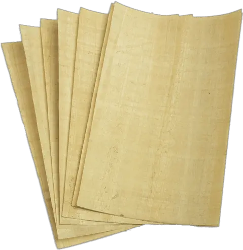 Download Free Png Papyrus Wood Papyrus Png