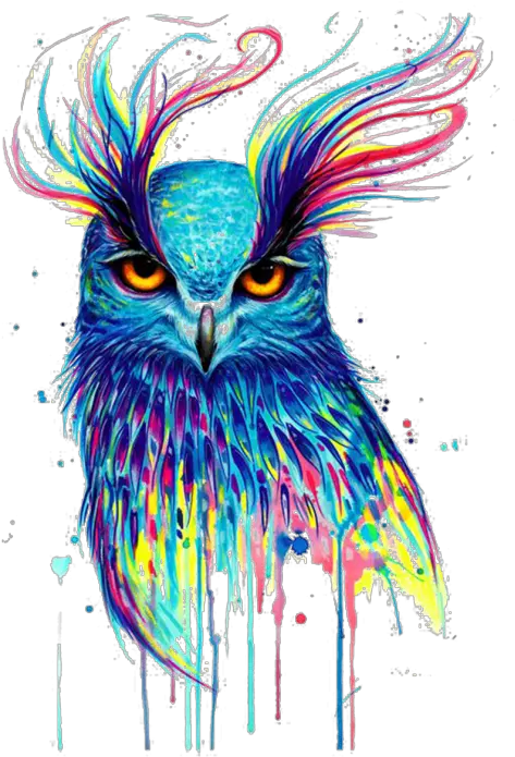 Owl Illustration Png Image Free Watercolor Owl Owl Png