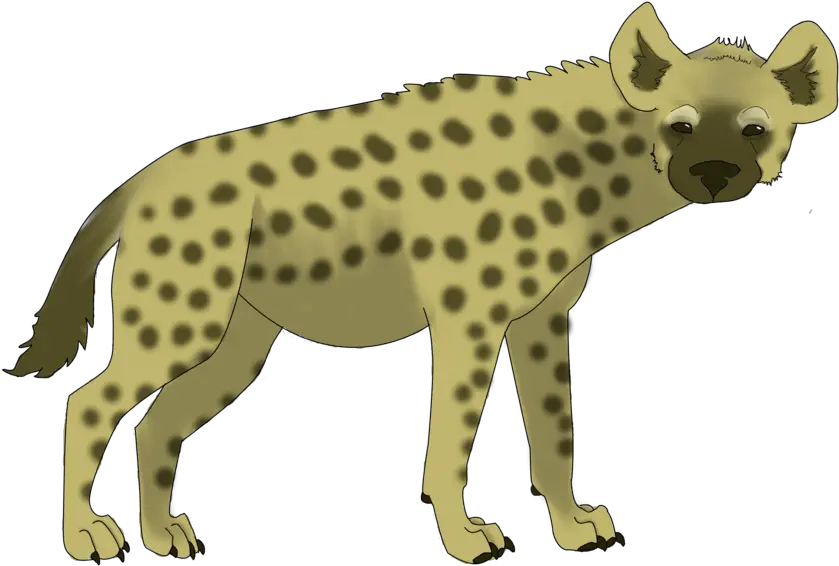 Spotted Hyena Transparent Cartoon Jingfm Hyena Clipart Png Hyena Png