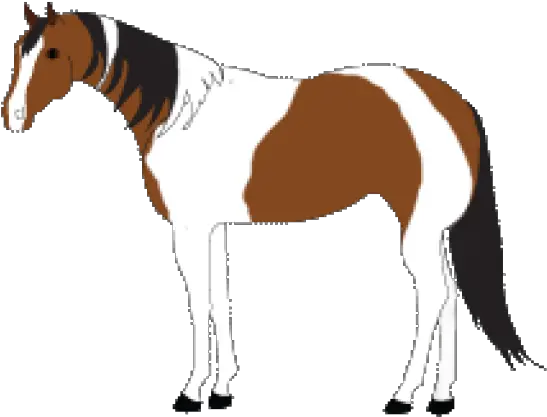 Paint Clipart Horse Stallion Png Download Full Size Stallion Horse Clipart Png