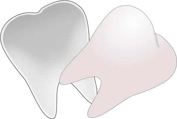 Tooth Outline Free Clipart Clipartingcom Tooth Clip Art Png Tooth Clipart Png