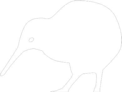 Kiwi Bird Transparent Png Image White Kiwi Bird Png Kiwi Bird Png