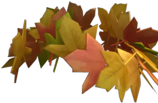 Crown Of Fall Leaves Roblox Wikia Fandom Leaf Crown Png Maple Leaves Png