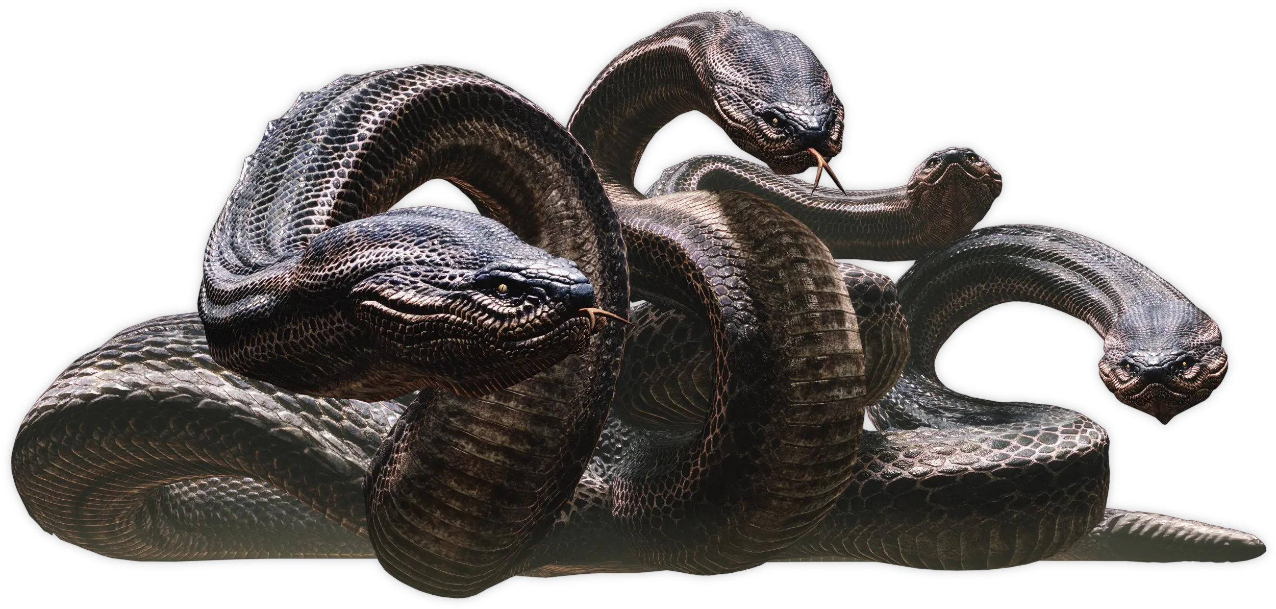 Dungeons And Dragons 5e Hydra Png Image Dragon Snake Png Hydra Png