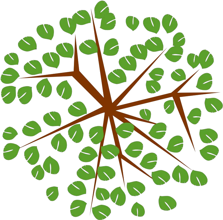 Tree 12c Tree Clipart From Top Png Download Full Size Tree Top View Icon Png Tree Top View Png png
