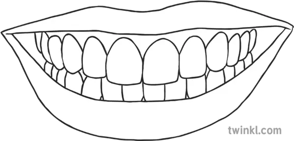 Smiling Mouth With Teeth Science Ks2 Black And White Rgb Line Art Png Smiling Mouth Png