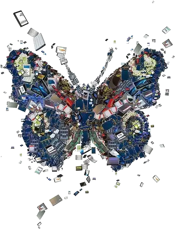 Butterfly Coco Chanel Trendmenet Advertising Png Coco Chanel Logo