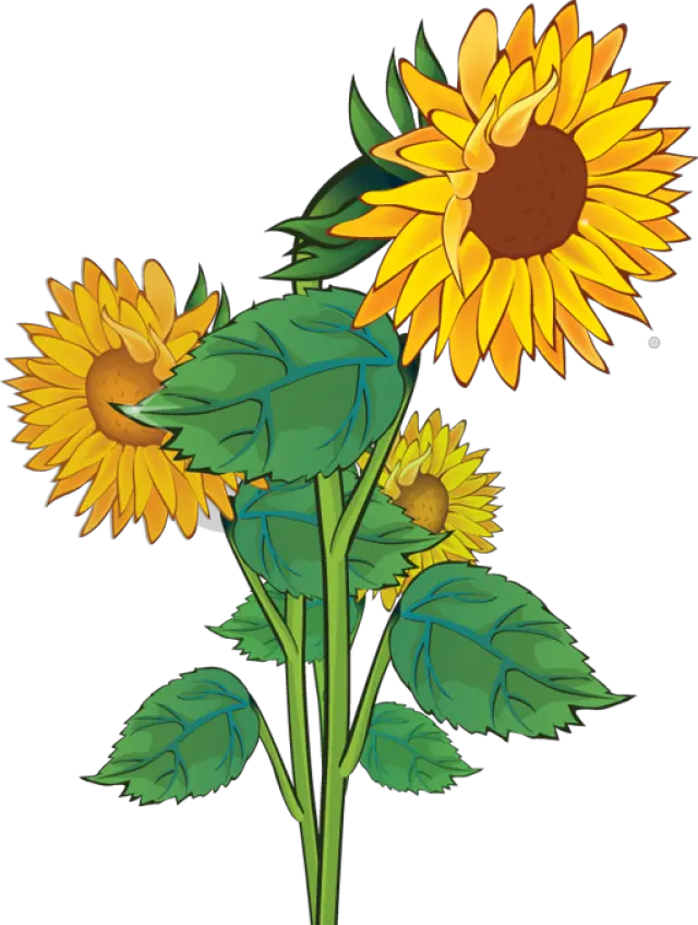 Fortnite Sunflower Skin Png