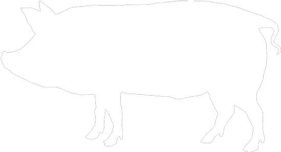 Hemorrhagic Bowel Images White Silhouette Of Pig Png Pig Silhouette Png