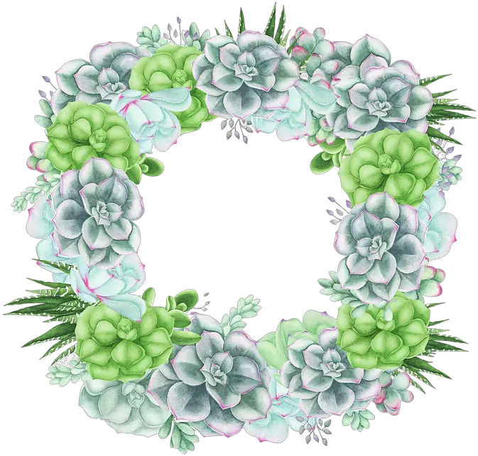 Succulent Rectangular Cactus Cacti Free Image On Pixabay Hydrangea Png Succulent Png