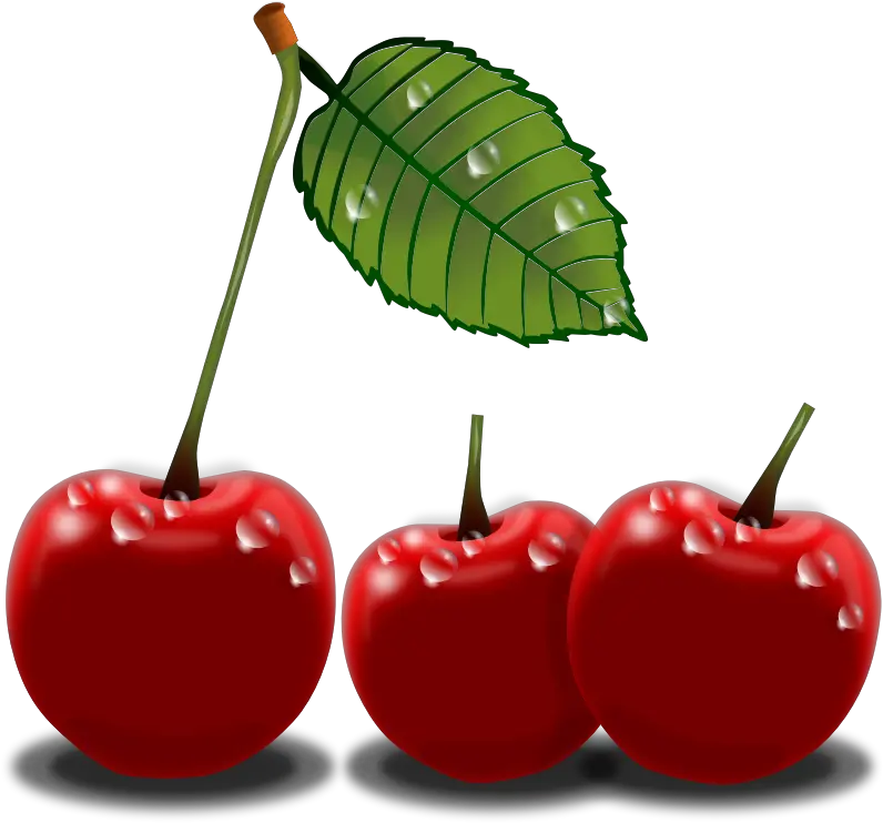 Free Cherry Clipart Png Download Clip Art Few Cherries Clipart Cherries Png