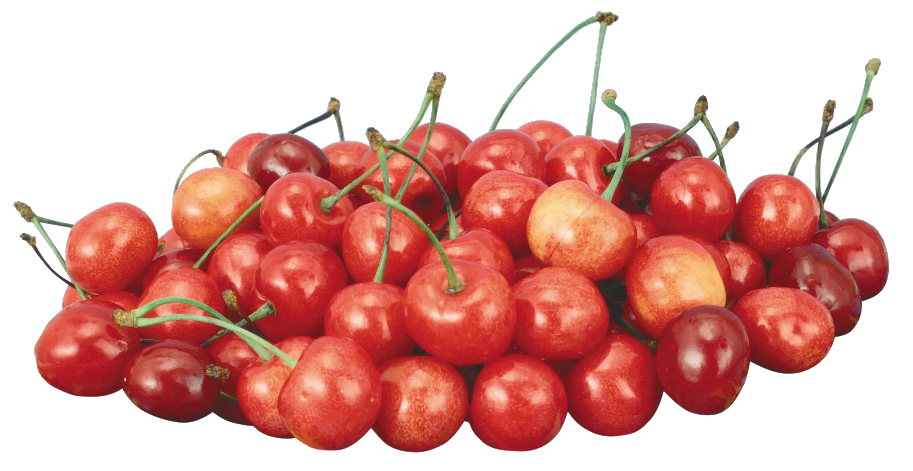 Cherries Png Cherries Acerola Cherries Png 153257 Cherries Png