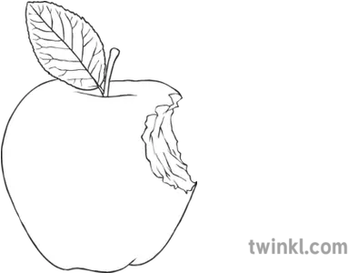 Apple With Bite Mark Black And White Black And White Apple Core Png Bite Mark Png