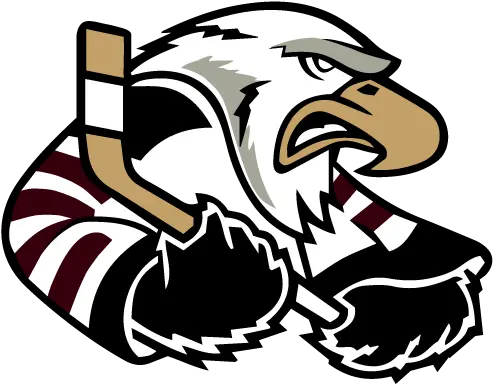 Home Screaming Eagles Surrey Eagles Png Eagles Logo Png