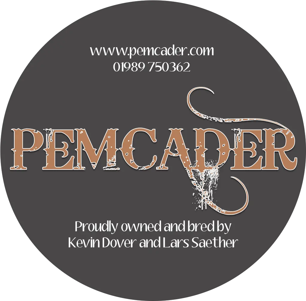 Pemcader Logo U2013 Zara Boyle Sakarya Park Png Zara Logo Png