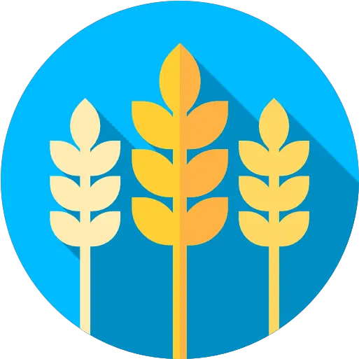 Crops Free Nature Icons Crops Flat Icon Png Crops Png