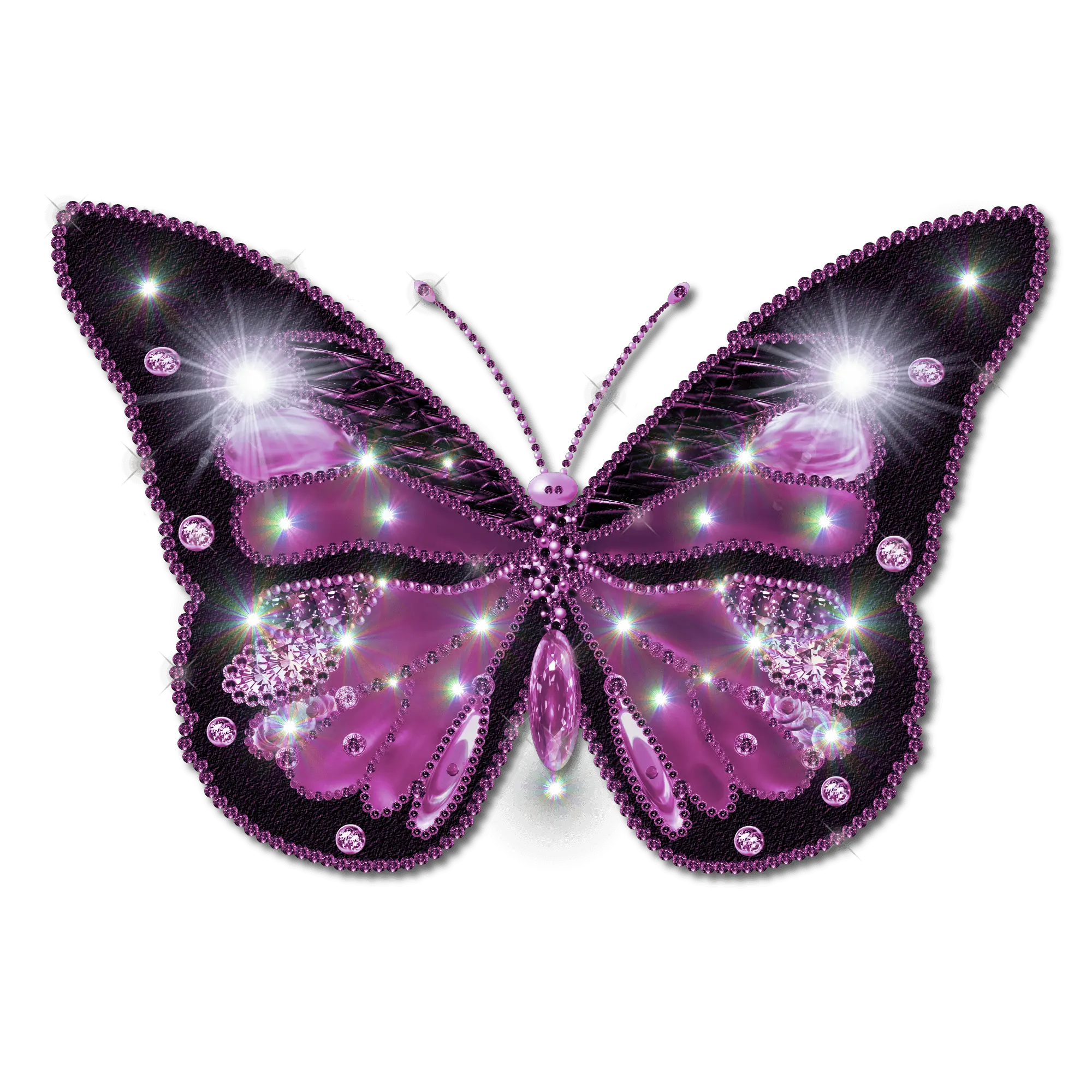 Pink Butterfly Png Images