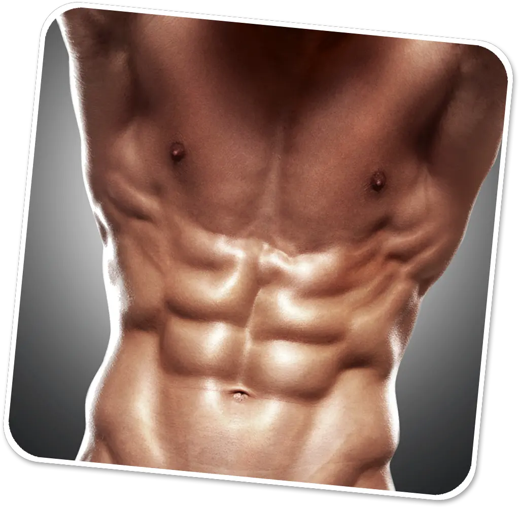 Download Fighter Abs Png Image With No 6 Apps Body Abs Png