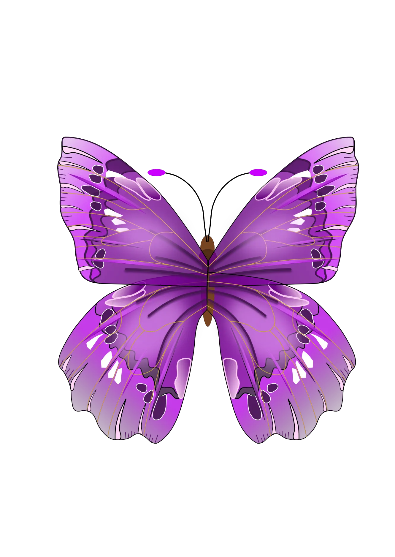 Pink Butterfly Clipart Png